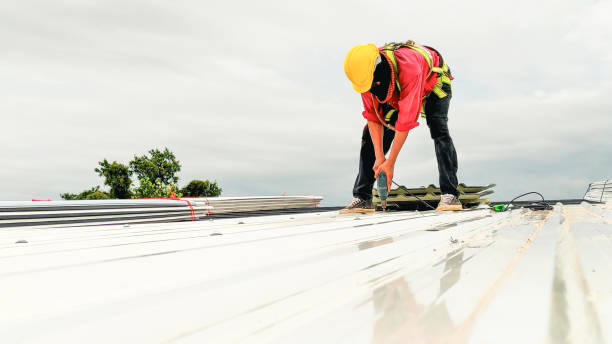 Best Roof Maintenance and Cleaning  in Thonotosassa, FL